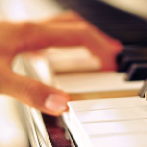 荒野乱斗r34奖励网站
