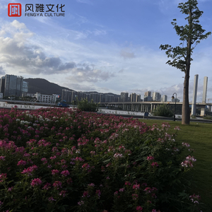 荒野乱斗r34奖励网站
